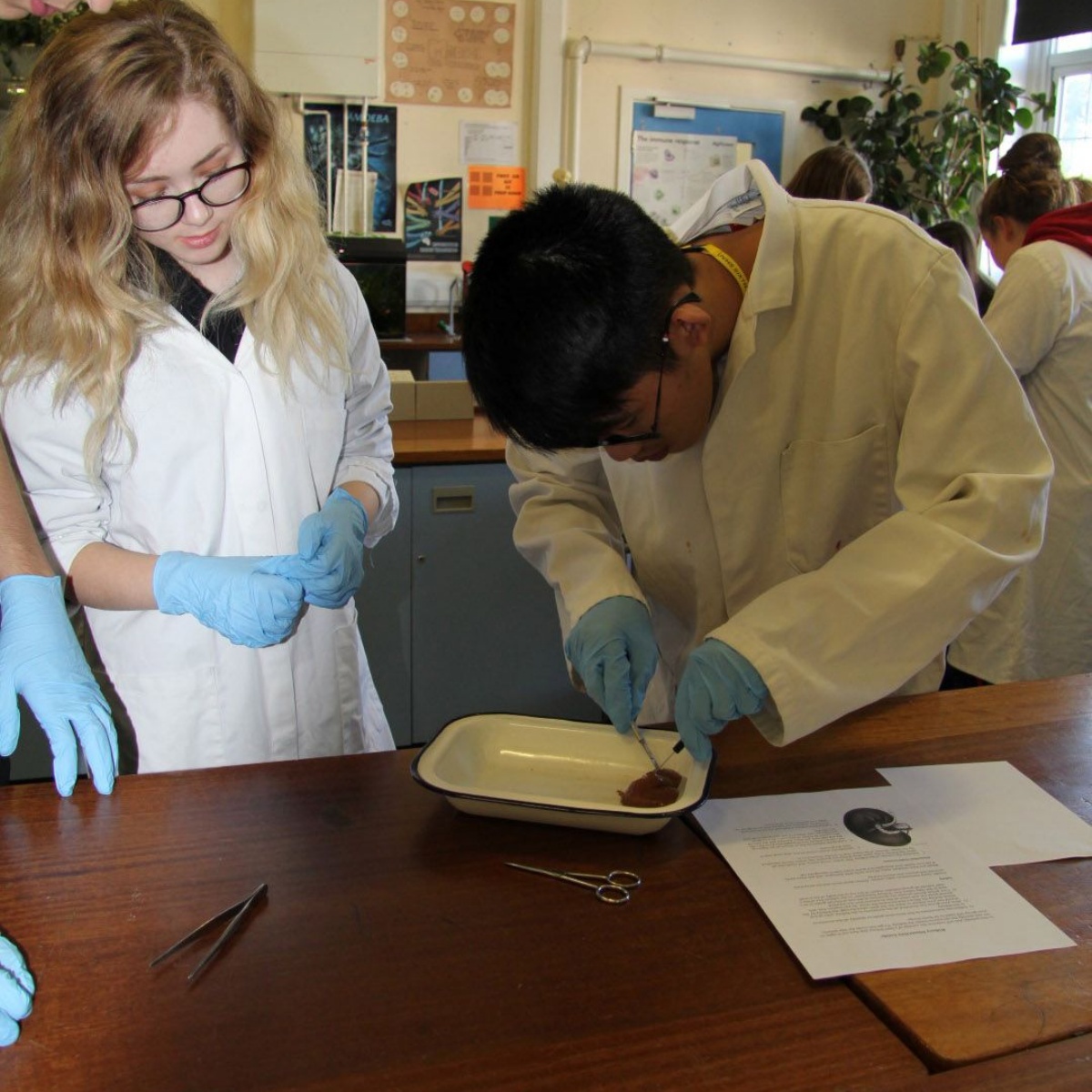 Ulverston Victoria High School Y12 Vic Medics